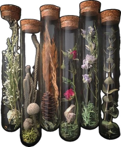 Grass Decoration Ideas, Dried Flowers Crafts, Oddities Decor, Deco Champetre, Bone Art, Witchy Crafts, Deco Floral, Craft Art, Green Witch