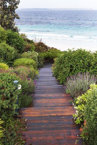 Take a trip down the garden path @ White Sands - Beach House | Hyams Beach, NSW | Accommodation. From $1100 per night. Beach Side House, Hyams Beach, Beach Walkway, Swamp House, Beach Plants, Beach House Landscaping, Paint Reference, Beach House Garden, England Cottage