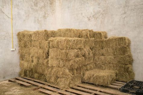 Horse Feed Storage, Hay Storage, Horse Hay, Goat Barn, Hay Barn, Farm Plans, Round Pen, Horse Inspiration, Horse Feed