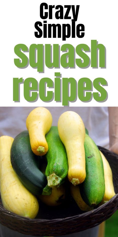 Tatuma Squash Recipes, Gluten Free Summer Squash Recipes, Green Summer Squash Recipes, Grey Squash Recipes, Yellow And Green Squash Recipes, Recipes For Summer Squash, Chinese Squash Recipes, Tatume Squash Recipes, Green Squash Recipes