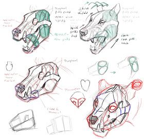 Concept Design Academy: "Animal Anatomy" with Jonathan Kuo~!! Dog Skull, Different Types Of Animals, Dog Anatomy, Anatomy Tutorial, Animal Anatomy, 강아지 그림, Animal Study, Wolf Drawing, Types Of Animals