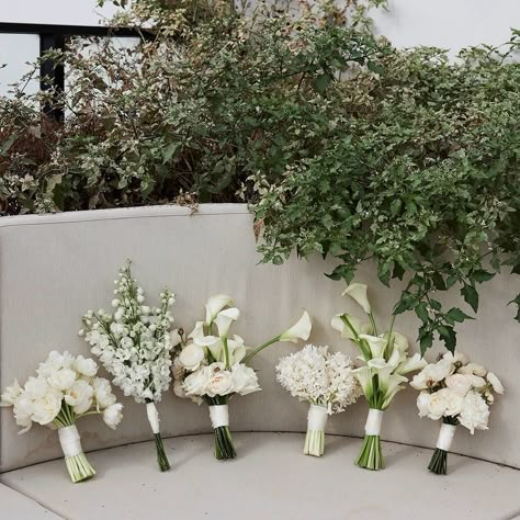 A moment of awe for Mandy & Scott’s incredible floral work by Brother Studio @brotherstudi000 🍃 Each Bridesmaid had a petite floral blocked bouquet with a single type of flower. Mandy’s bouquet was elegant and classic but with a refined twist. European urns and an abundance of premium white flowers were blocked by style and sculpted along the ground in a high-low meadow, completed with customized satin bow. Design & Styling @clothandconfettievents Floral Design @brotherstudi000 Photograp... Elegant Bridesmaids Bouquets, Single Type Of Flower Bouquet, Elegant Whimsical Wedding Decor, Bridesmaids With Bouquets, One Type Of Flower Bouquet, Bridesmaid Flowers Bouquet, Classic White Flowers Wedding, Classic Bridesmaid Bouquet, Best Bridal Bouquet Flowers