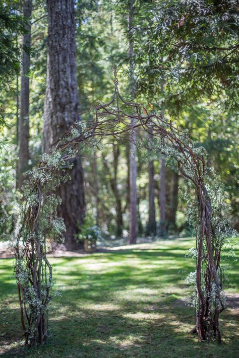 Wedding Arbor Decorations, Branch Arch Wedding, Diy Wedding Arbor, Scandinavian Wedding, Diy Wedding Arch, Manzanita Branches, Reception Entrance, Wedding Arch Rustic, Wedding On A Budget