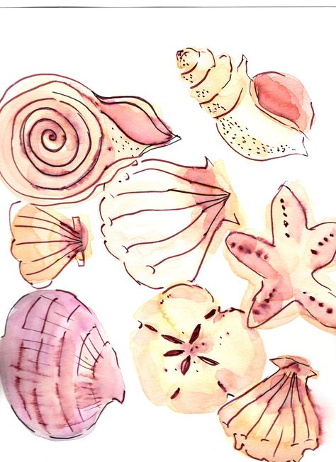 Inspired by simple watercolor seashell paintings I love to do. Paintings Of Shells, Paintings Of Seashells, Seashell Watercolor, Watercolor Seashells, Seashell Drawing, Small Doodles, Sketchbook Spreads, Seashell Pattern, Beach Craft