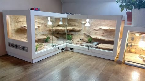 Very cool vivarium Diy Bearded Dragon Enclosure, Bearded Dragon Vivarium, Bearded Dragon Terrarium Ideas, Lizard Terrarium, Terrariums Diy, Diy Reptile, Bearded Dragon Diy, Snake Terrarium, Bearded Dragon Terrarium