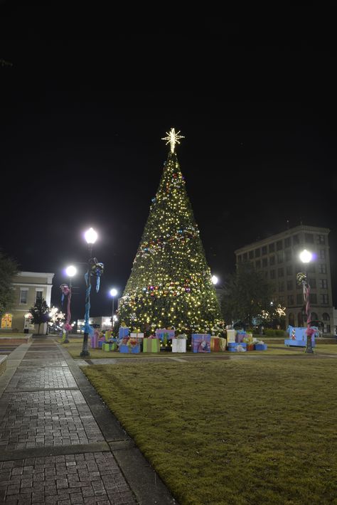 Christmas tree located in the town square of Andalusia, Alabama. Photo taken 12/29/13. Andalusia Alabama, Mountain Brook Alabama, Sweet Home Alabama, In The Town, Town Square, Andalusia, Old Town, Alabama, Places To Go