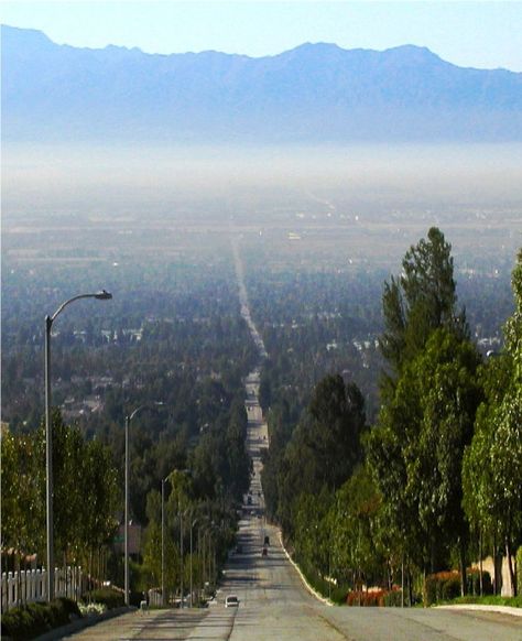 Rancho Cucamonga, CA : VALLEY VIEW FROM TOP OF HAVEN AVENUE (we drove up one of these roads...gorgeous) Rancho Cucamonga California, Los Angeles Aesthetic, Inland Empire, Good Weekend, Vintage Los Angeles, Rancho Cucamonga, Valley View, California Love, California Dreamin'