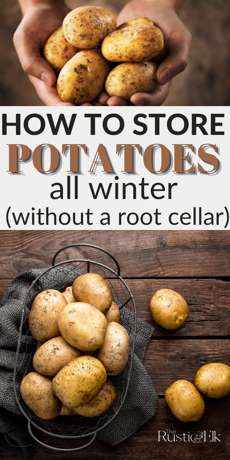 Store Potatoes For Winter, Long Term Potato Storage, How To Store Potatoes Long Term, Storing Potatoes, Root Cellar Storage, Storing Food Long Term, Homestead Cooking, Root Cellars, Farm Recipes