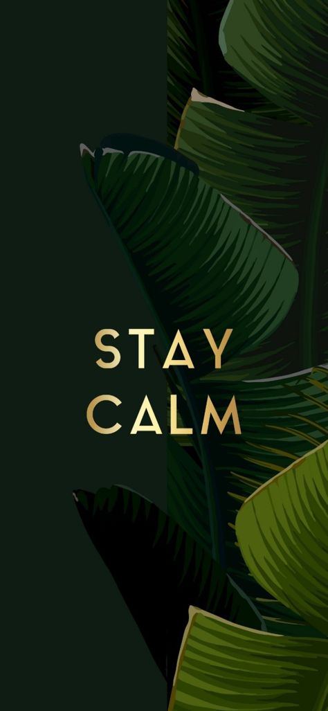 Stay Calm Wallpaper, Ayat Positif, Busy Wallpaper, Calm Wallpaper, Diwali Photos, Stay Busy, English Word, Sunday Quotes, Instagram My Story