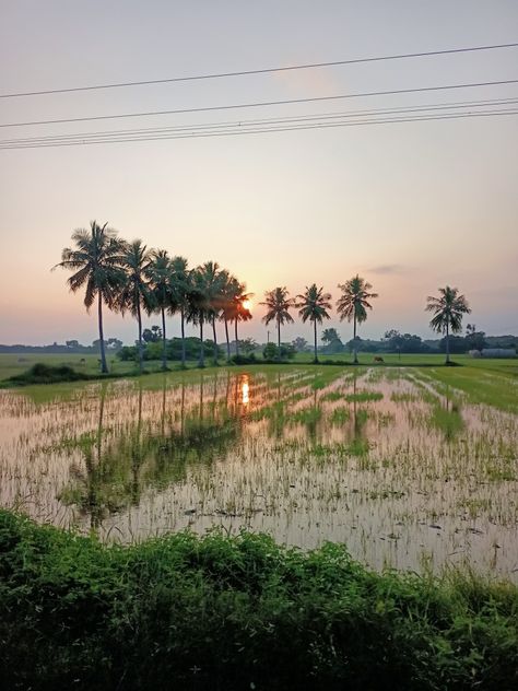 Tamilnadu Village Photography, Village Photos Indian, Tamilnadu Village, Tamilnadu Photography, Village Snap, Tamil Village, Village Vibes, Full Hd Wallpaper Android, India Street