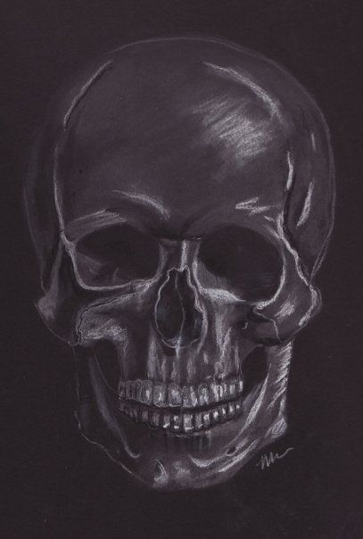 Skull Drawing On Black Paper, Skull On Black Paper, White Charcoal Drawing On Black Paper, Skeleton Charcoal Drawing, Coal Drawing, Skull Oil Pastel, Charcoal Skull, White Charcoal Drawing, Animal Skull Drawing