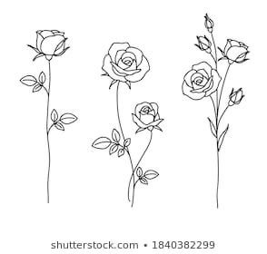 Two Roses Drawing, Rose Line Drawing Tattoo, Roses Line Drawing, Minimalist Rose Drawing, Two Rose Tattoo, Small Rose Drawing, Rose With Leaves Tattoo, Line Work Rose Tattoo, Roses Tattoo Drawing