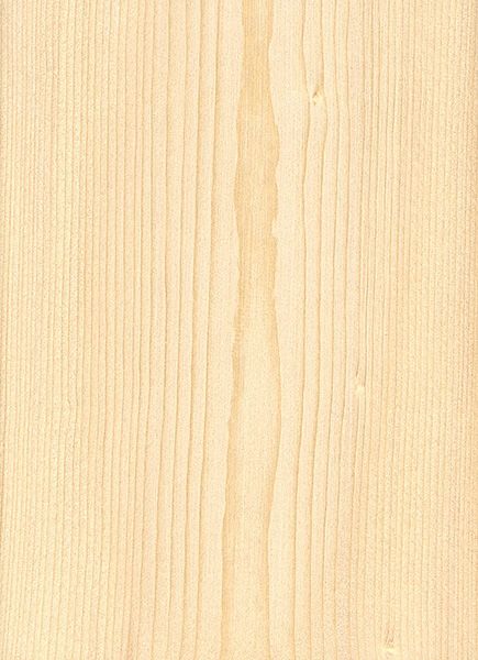 Black Spruce | The Wood Database (Softwood) Curtains 2023, Pine Wood Texture, Black Spruce, White Spruce, Wood Facade, The Spruce, Tree Textures, Southern Pine, Spruce Tree