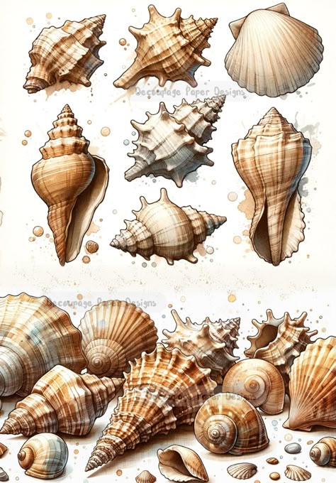 Seven large tan seas shells and seashell grouping. A4 Decoupage Paper for Craft making. Shell Tattoo Ideas, Yellow Scrapbook, Elegant Graphic Design, Latest Graphic Design Trends, Latest Graphic Design, Shell Tattoos, Scrapbook Letters, Furniture Upcycle, Ocean Fashion