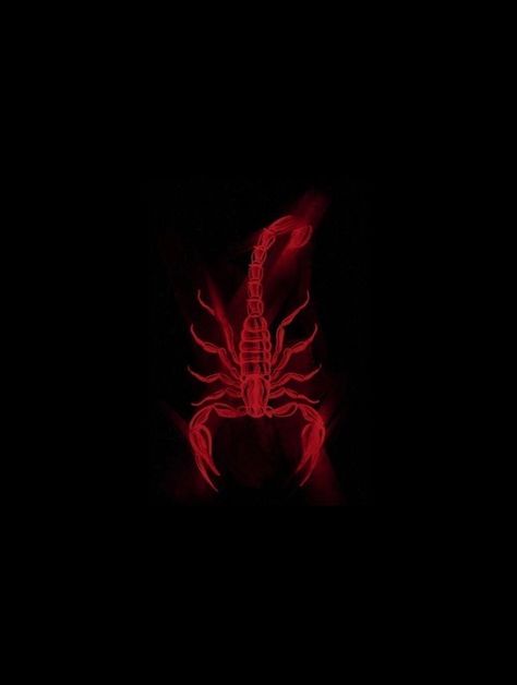 Scorpio Red Aesthetic, Red Scorpio Aesthetic, Scorpion Aesthetic Wallpaper, Scorpion Wallpaper Iphone, Red And Black Aesthetic Icon, Scorpion Aesthetic, Scorpion Wallpaper, Red Scorpion, Scorpio Art