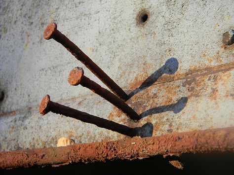 DSCN7865- Rusty Nails Nuclear Throne, Rusty Nails, Rusty Nail, Way To Heaven, Rusty Metal, Aesthetic Pics, Design Inspo, Aesthetic Pictures, Art Inspo