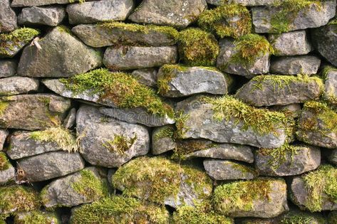 Dry Stone Walling, Mossy Cobblestone, Stone Wall Aesthetic, Mossy Stone, Cobblestone Wall, Old Stone Wall, Stone Walls, Field Stone Wall, Grey Stone Wall