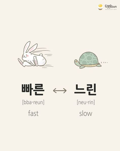 Learning Korean is fun! Korean Vocab, Korean Verbs, Learning Korean Grammar, Korean Slang, Korean Vocabulary, Korean Study, Learn Basic Korean, Korean Letters, Learn Korean Alphabet