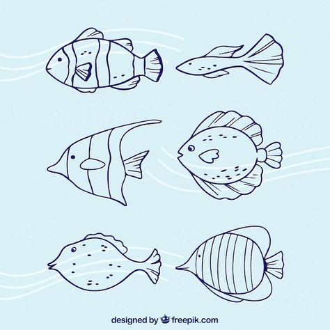 Free vector collection of fish in doodle... | Free Vector #Freepik #freevector #animal-doodle #cute-fish #drawn #cute-doodles Fish Doodle, Sketch Menu, Cartoon Drawing For Kids, Mermaid Journal, Sea Drawing, Mermaid Quotes, Drawn Fish, Doodle Cartoon, Animal Doodles