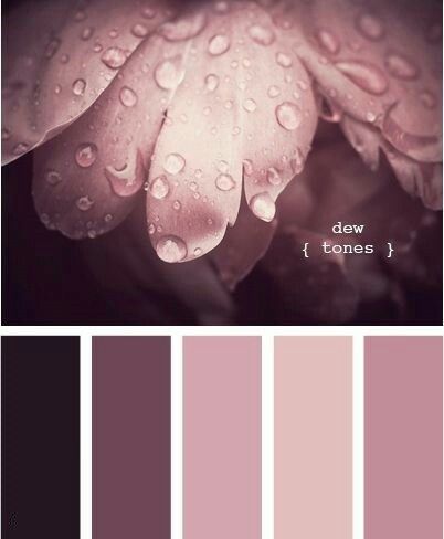 Color palette for monochromatic mismatched bridesmaids Design Seed, Color Palate, Design Seeds, Colour Board, Colour Schemes, Color Pallets, Color Swatches, Color Theory, Color Themes