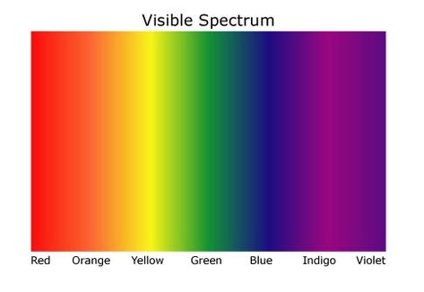 Rainbow Colors In Order, Visible Light Spectrum, Rainbow Images, Visible Spectrum, 1st Grade Science, Rainbow Order, Infrared Photography, Color Spectrum, Visible Light