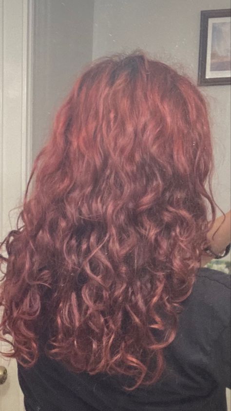 Red wavy hair with butterfly cut Cherry Red Wavy Hair, Curly Cherry Red Hair, Dark Red Wavy Hair, Red Hair Layers, Red Wavy Hair, Wavy Red Hair, Long Wavy Layers, 2024 Haircut, Cherry Red Hair