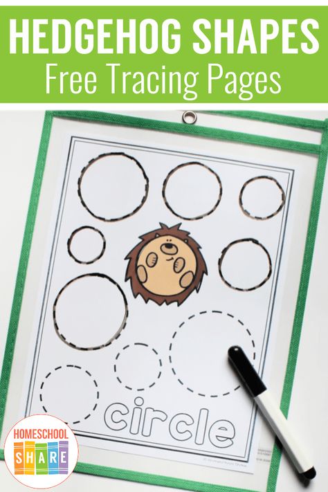 Hedgehog Shapes Tracing Pages – Homeschool Share Chocolate Hedgehog, Preschool Hibernation, Shapes For Preschool, Hibernation Preschool Activities, Forest Animals Preschool, Letter H Activities, Hibernation Preschool, February Lesson Plan, Hedgehog Book