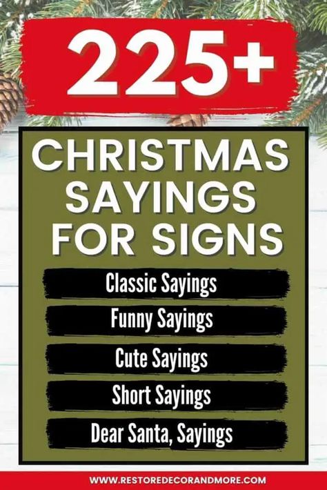 225+ Christmas Sayings For Signs - Ultimate List (2021) Christmas Board Signs, Christmas Sayings For Signs, Christmas Signs And Sayings, Santa Sayings, Sayings For Signs, Santa Signs, Short Christmas Quotes, Cute Christmas Quotes, Christmas Signs Diy