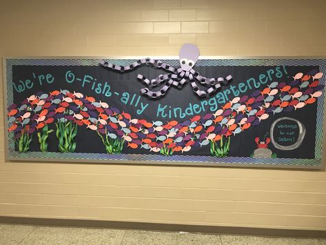 We’re O-Fish-ally Kindergarteners! Fish Theme Classroom Ideas, Welcome To Kindergarten Bulletin Boards, Fish Bulletin Board Ideas, Rainbow Fish Bulletin Board, School Of Fish Bulletin Board Ideas, Fish Bulletin Boards, Aquarium Bulletin Board Sea Theme, Ocean Bulletin Board, Elementary School Bulletin Boards