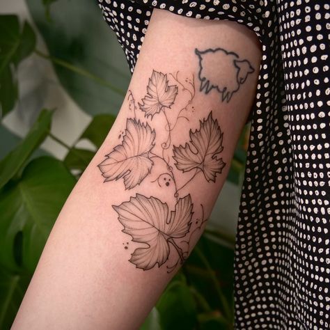 ivy branch for the lovely Sarah - Grazie Millie ♡ ✿ Want a exclusive floral piece like Sarah? ✿ 📩 bookings open for Nov and December — DM or bookings and inquiries - flash or custom 🌿 Check pinned posts and highlights for more info or feel free to out for any questions you may have! ♡ . . #branchtattoo #floraltattoo #floraltattooartist #tattoo #tattooart #dublintattoo #tattoodublin #irelandtattoo #dublintattooartist Tattoo Dublin, Ireland Tattoo, Ivy Tattoo, Branch Tattoo, Tattoo Artists, Art Tattoo, Ivy, Flash, Highlights