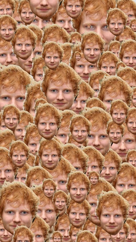 Ed Sheeran Matching Pfp, Ed Sheeran Funny, Cardboard Cutouts Diy, Ed Sheeran Aesthetic, Ed Sheeran Wallpaper, Egg Sheeran, Ginger Jokes, Ed Sheeran Eyes, Ed Sheeran Memes