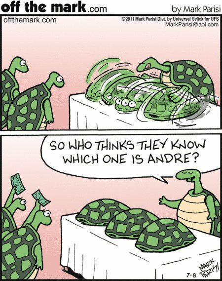 Turtle humor!       offthemark.com Turtle Meme, Turtle Quotes, World Turtle Day, Turtle Day, Turtle Time, Turtley Awesome, Turtles Funny, Turtle Decor, Tortoise Turtle