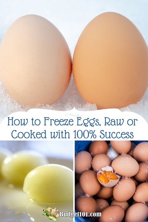 How To Freeze Eggs, How To Save Eggs, How To Freeze Dry Eggs, How To Freeze Raw Eggs, Freeze Eggs Raw, Freezing Raw Eggs, Freeze Raw Eggs, Can You Freeze Raw Eggs, How To Save Farm Fresh Eggs