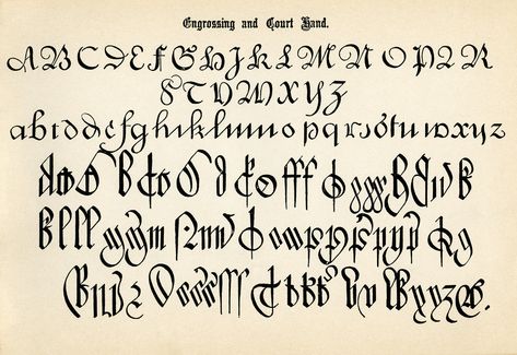 Antique Calligraphy Alphabets - Old Design Shop Blog English Calligraphy Font, Alphabets Fonts, Calligraphy Alphabets, Antique Calligraphy, Pretty Calligraphy, Old English Alphabet, Old Calligraphy, Fancy Lettering, Old English Letters