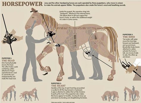 warhorse Puppet Mechanics, Shadow Puppetry, Puppetry Theatre, Cowboy Song, Chinese Lion, Marionette Puppet, Puppet Making, Lion Dance, Puppet Theater