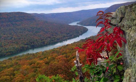 Few People Know This Amazing Natural Wonder Is Hiding In The Tennessee Southern Tennessee, Tennessee Waterfalls, Tennessee State Parks, Cumberland Falls, Cumberland River, Hiking Places, River Trip, Tennessee River, Kayak Adventures