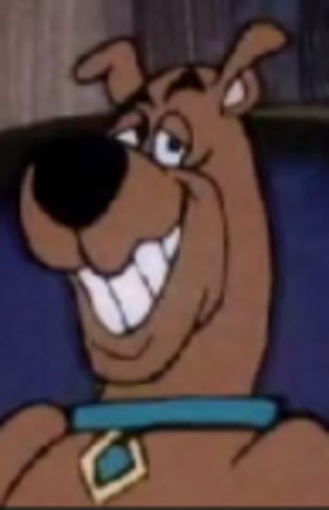 ed9 Scooby Doo Funny Faces, Scooby Doo Cursed, Funny Scooby Doo Pictures, Scooby Doo Laugh, Scooby Doo Meme, Scooby Doo Pfp, Funny Scooby Doo, Scooby Doo Funny, Scooby Doo Memes