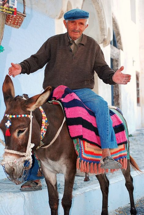 . Santorini Grecia, Desert Dreamer, A Donkey, Greek Culture, Cheat Meal, We Are The World, Santorini Greece, People Of The World, World Cultures