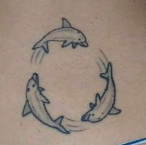 15+ Amazing Dolphin Tattoo Designs and their Meanings Dolphin Tattoo Meaning, Bats Tattoo Design, Dolphin Tattoo, Dolphins Tattoo, Rose Tattoos For Women, Bat Tattoo, Small Arm Tattoos, Tattoo Designs For Girls, Tattoo Videos