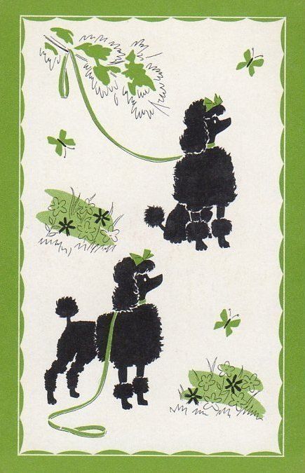 Poodle illustrations, c. 1950s. Black Poodle Illustration, Poodle Illustration, Designing Tattoos, Poodle Tattoo, Poodle Card, Poodle Drawing, Poodle Party, Poodle Standard, 2023 Graphic