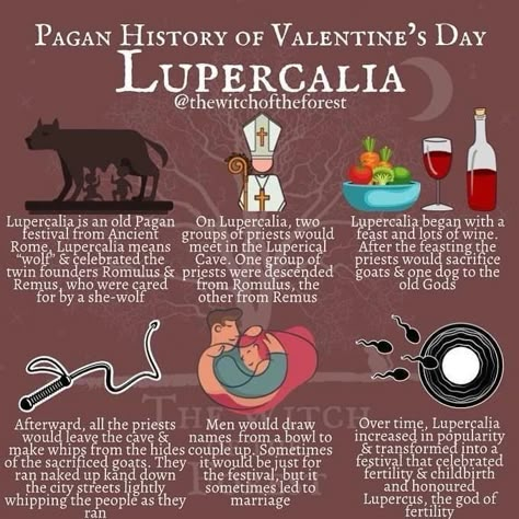 Lupercalia Aesthetic, History Of Valentines Day, Valentine's Day Origin, Artist Couple, Valentines Day History, Pagan Beliefs, Home Vibes, Pagan Festivals, Witch Spirituality