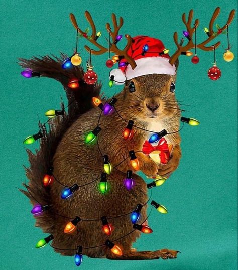 Squirrel Memes, Funny Squirrel Pictures, Squirrel Appreciation Day, Squirrel Christmas, Christmas Squirrel, Squirrel Pictures, T Shirt Template, Squirrel Art, Squirrel Funny