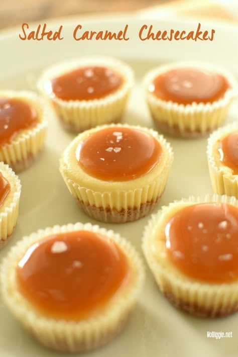 Salted Caramel Cheesecakes (with recipe video!) | NoBiggie Dolci Finger Food, Cheesecake Caramel, Salted Caramel Cheesecake, Easy Dessert Recipes Quick, Make Ahead Desserts, Bite Size Desserts, Dessert Party, Caramel Cheesecake, Desserts For A Crowd