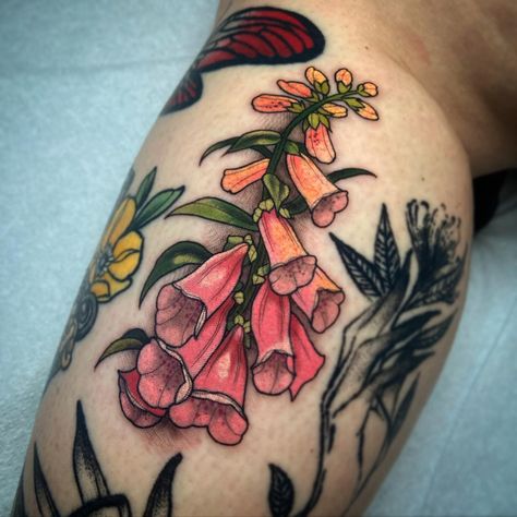 Foxgloves for Cynthia 💕 ♡ ♡ ♡ ♡ ♡… | Instagram Neo Trad Poppy Tattoo, Neo Traditional Forest Tattoo, Fox Tattoo Neotrad, Fox Gloves Tattoo, Neo Traditional Flower Tattoo Design, Neotraditional Fox Tattoo, Neo Traditional Floral Tattoo, Neo Trad Rose, Neo Trad Flowers