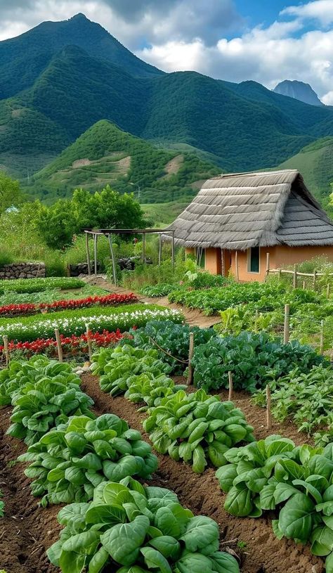 Farming System, Outdoor Fairy Lights, Homestead Farm, Garden Park, Sims House Design, Home Vegetable Garden, Sims House, Sustainable Living, Vegetable Garden