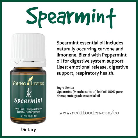 Spearmint Essential Oil Pin Oils For Health, Living Oils Recipes, Emotional Release, Essential Oils 101, Essential Oil Companies, Yl Oils, Spearmint Essential Oil, Homemade Oil, Yl Essential Oils