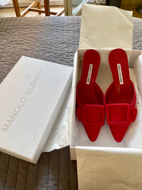 Angelica Aesthetic, Manila Blahnik, Manolo Blahnik Maysale, High Horse, Red Outfits, Feminine Shoes, Lady Shoes, Shoe Wishlist, Blue Suede Shoes