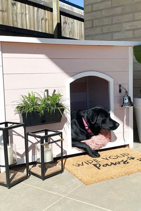 Reader project: A Kmart dog kennel makeover | Better Homes and Gardens Dog Kennel Makeover, Kennel Makeover, Wooden Dog Kennels, Diy Dog Kennel, Dog House Plans, Outdoor Dog House, Outside Dogs, Cool Dog Houses, Dog Spaces