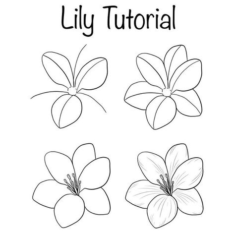 Rimgaile on Instagram: "Tag a friend who needs to see this! 🌼 Swipe to view tutorial in full. Happy Friday, the week seems to end so fast! This Friday I’ve got a lily tutorial for you! I find these flowers so versatile when drawn in bouquets as they go with pretty much any flower! I have made some changes to my tutorials. New lines are drawn in red to showcase which part to draw. I will also upload tutorial videos on Saturdays to follow it on! Hope these changes enhance my tutorials and hel Trin For Trin Tegning, Flower Bouquet Drawing, Simple Flower Drawing, Lilies Drawing, Doodle Art For Beginners, Book Art Projects, Botanical Line Drawing, Flower Line Drawings, Flower Drawing Tutorials