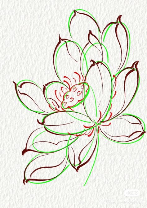 Lotus Flower Line Art, Japanese Lotus, Japanese Flower Tattoo, Japan Tattoo Design, Flower Drawing Tutorials, Screen Print Poster, Irezumi Tattoos, Flower Art Drawing, Japanese Artwork